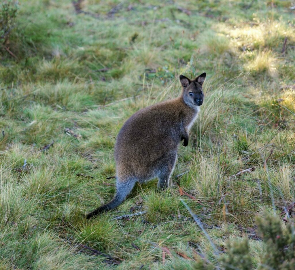 Free stock photo of adventure, adventure photographer, adventure photography